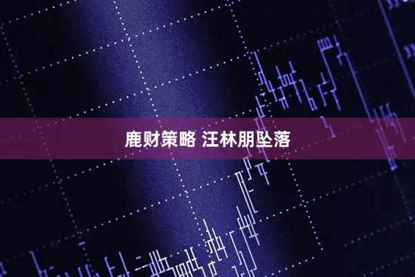 鹿财策略 汪林朋坠落