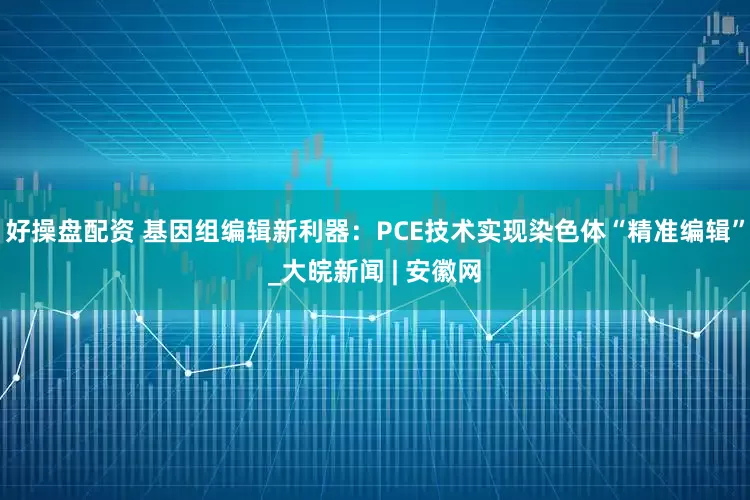 好操盘配资 基因组编辑新利器：PCE技术实现染色体“精准编辑”_大皖新闻 | 安徽网