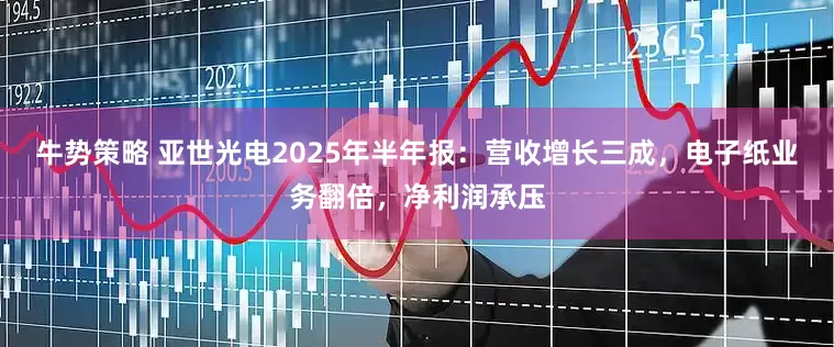 牛势策略 亚世光电2025年半年报：营收增长三成，电子纸业务翻倍，净利润承压