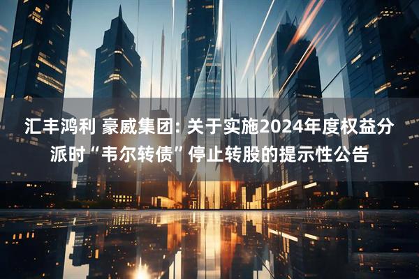 汇丰鸿利 豪威集团: 关于实施2024年度权益分派时“韦尔转债”停止转股的提示性公告