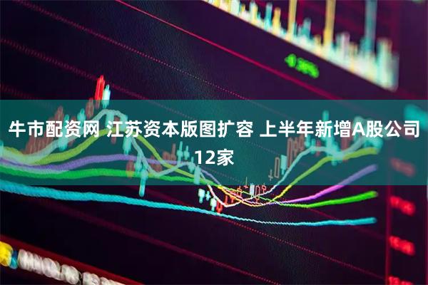 牛市配资网 江苏资本版图扩容 上半年新增A股公司12家